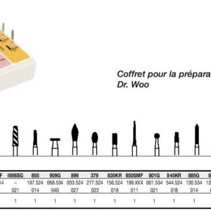 Coffret pour préparation des couronnes Dr Woo 100426