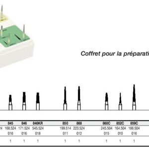 Coffret pour la préparation d’inlays Dr Woo 100473